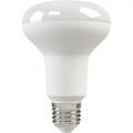 LED  X-flash Fungus E27 10W 220V 44979  , 